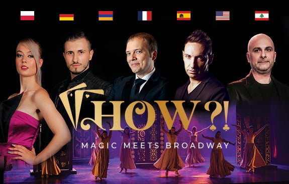 More Info for HOW?! The Magic Show
