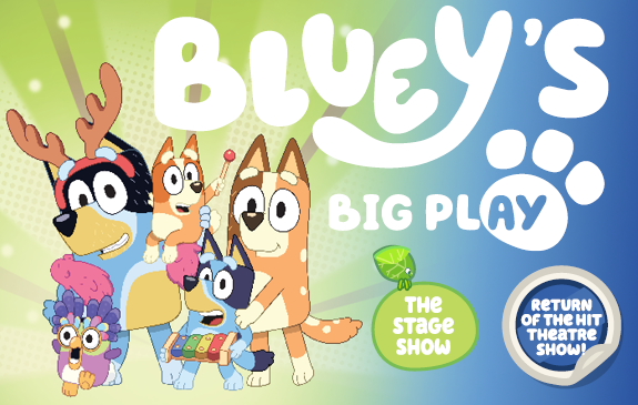 More Info for Bluey's Big Play